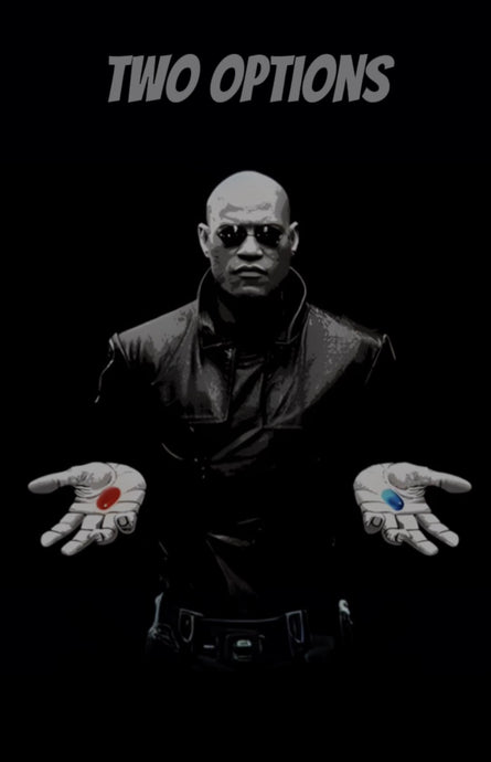 What if I told you- that owning your own hybrid battery reconditioning equipment was the best option?