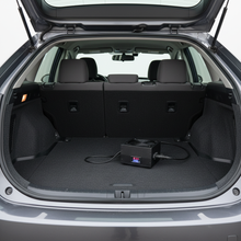 Load image into Gallery viewer, Maxx Volts Pro Automatic Discharger